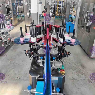 自動正方形の平らなびんの分類機械スペシャルは二重側面の付着力のステッカーを形づけた